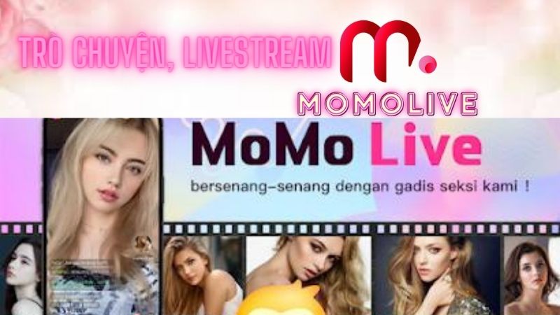 momo live